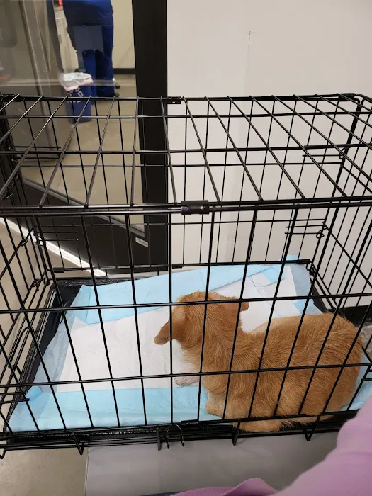 PetVet Vaccination Clinic Picture 6