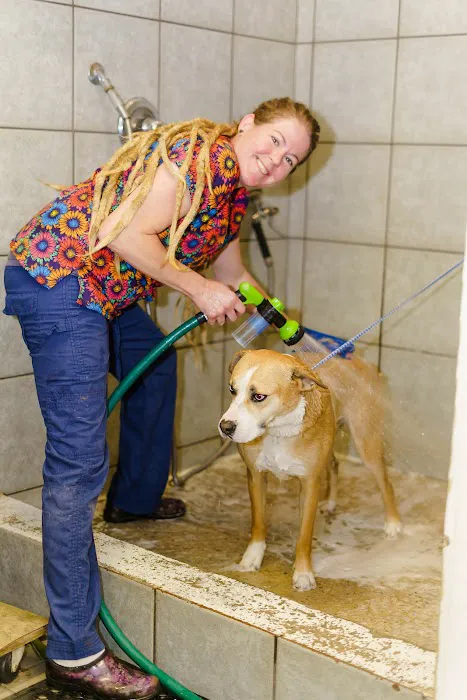 Hope Mills Road Animal Hospital Picture 7