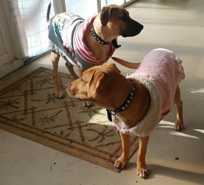 Highland Animal Hospital Picture 3