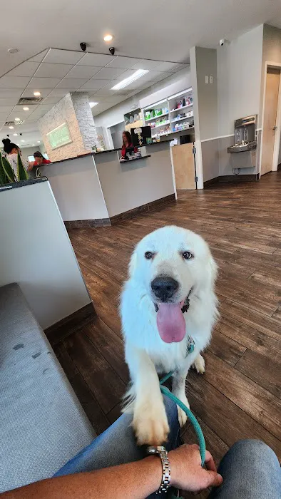Highland Animal Hospital Picture 10