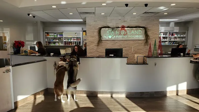 Highland Animal Hospital Picture 9