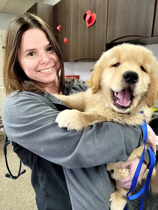 Academy Pet Hospital Picture 3