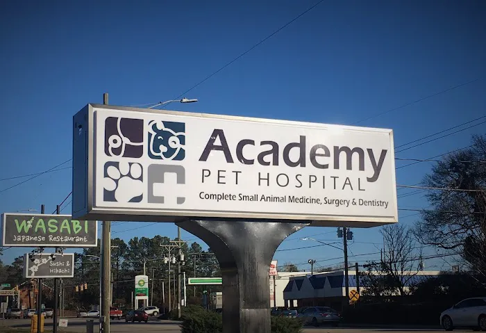 Academy Pet Hospital Picture 7