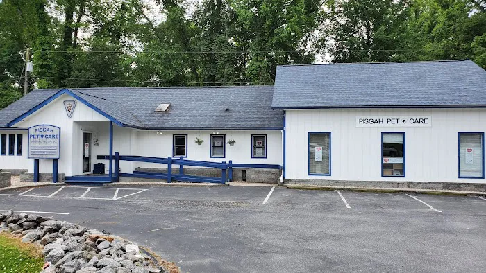 Pisgah Pet Care Animal Hospital Picture 1