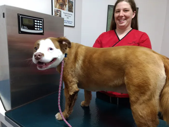 Pisgah Pet Care Animal Hospital Picture 6