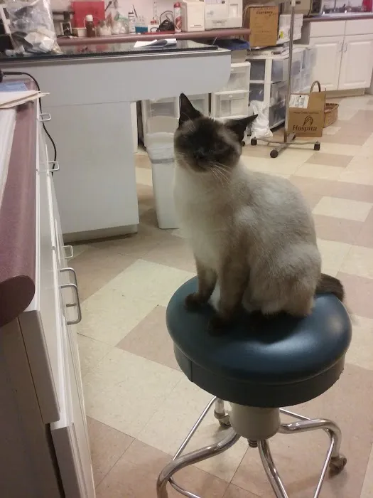 Pisgah Pet Care Animal Hospital Picture 4