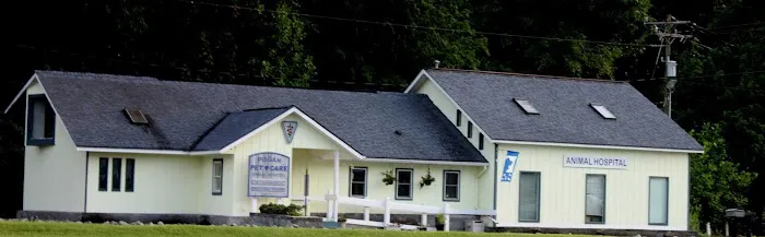 Pisgah Pet Care Animal Hospital Picture 7