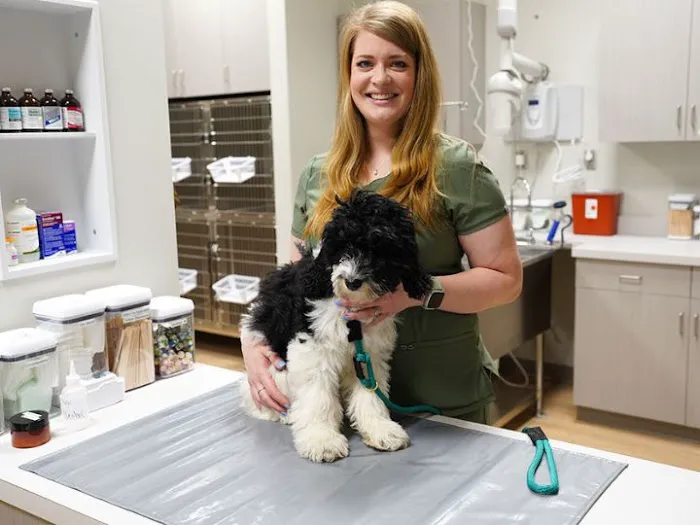 Thornblade Animal Hospital Picture 2