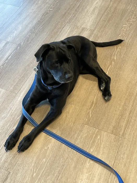 Thornblade Animal Hospital Picture 5