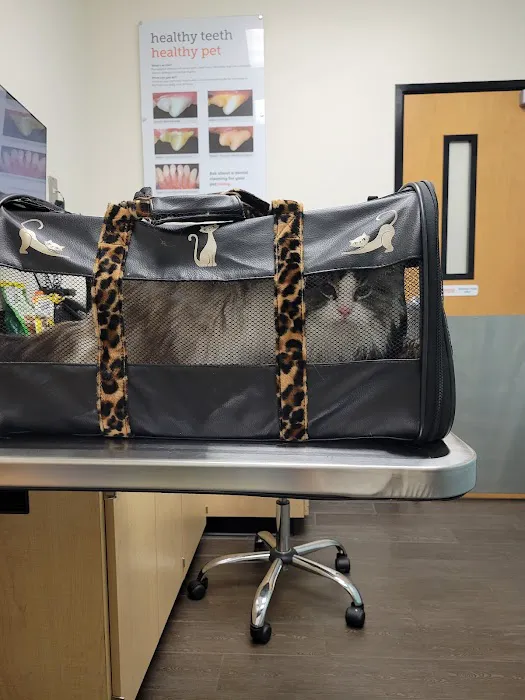 Banfield Pet Hospital Picture 6