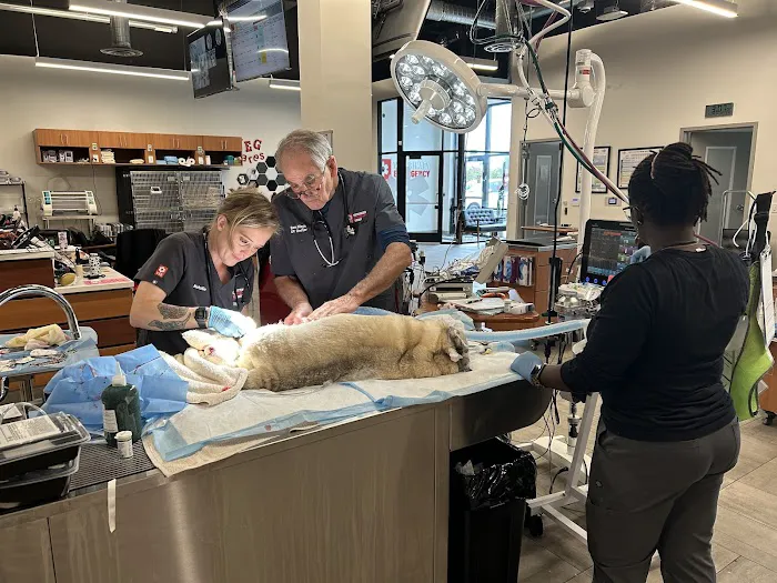 Veterinary Emergency Group Picture 5