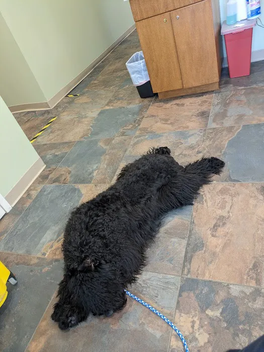 All Creatures Great and Small Animal Hospital Picture 4