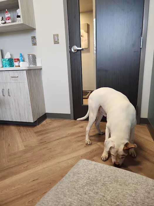 Paris Mountain Animal Hospital Picture 2