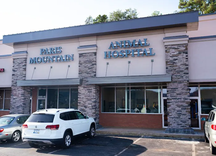 Paris Mountain Animal Hospital Picture 3