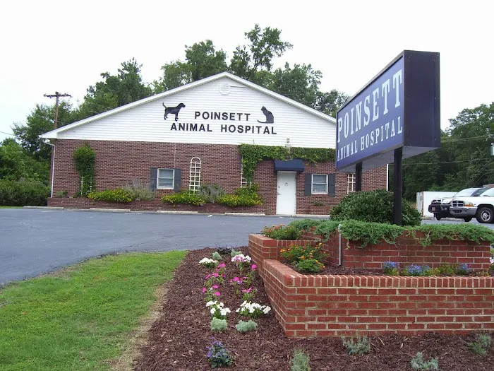 Poinsett Animal Hospital Picture 4