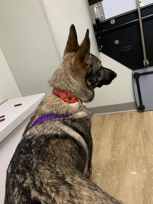 Poinsett Animal Hospital Picture 9