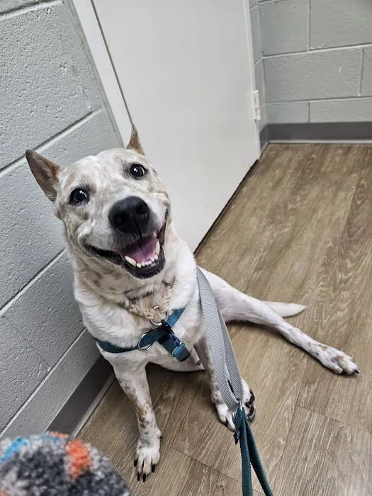 Poinsett Animal Hospital Picture 10
