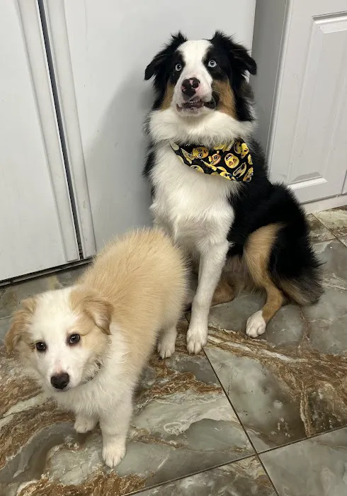 Foothills Veterinary Hospital Picture 4