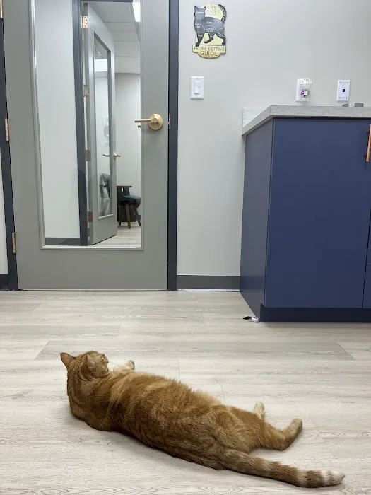 Stone Ave Vet Picture 5