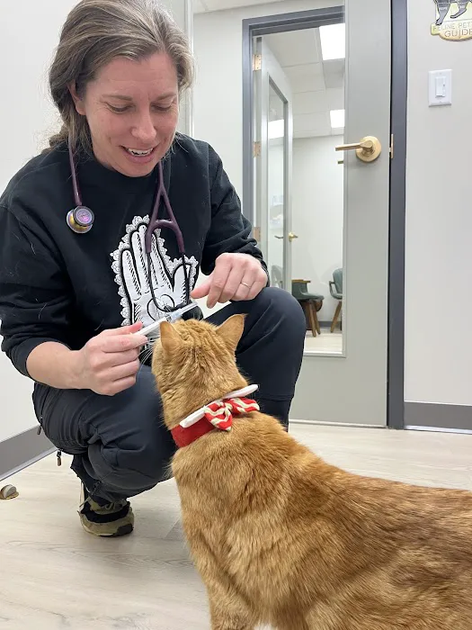 Stone Ave Vet Picture 7