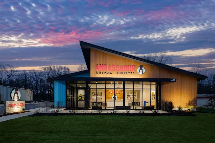Ambassador Animal Hospital Picture 1