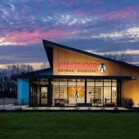 Ambassador Animal Hospital ico