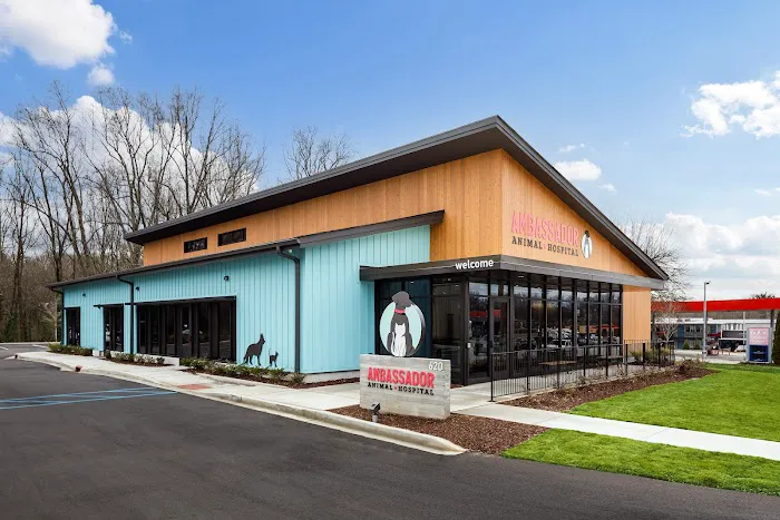 Ambassador Animal Hospital Picture 2