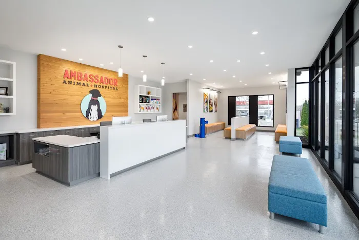 Ambassador Animal Hospital Picture 3