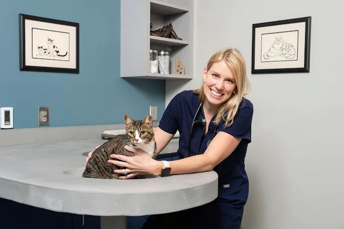 Ambassador Animal Hospital Picture 8