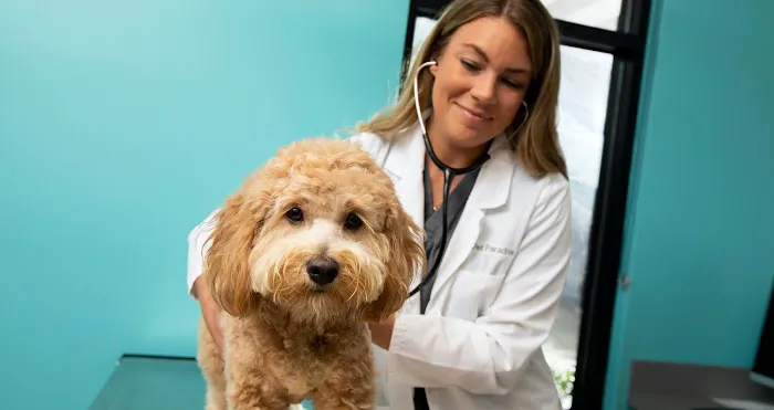 NewDay Veterinary Care Picture 1