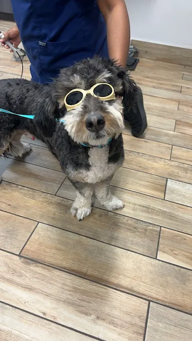 NewDay Veterinary Care Picture 4