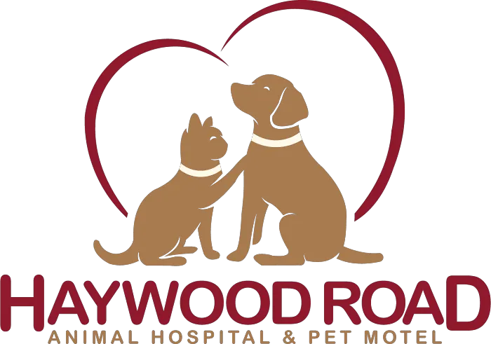 Haywood Road Animal Hospital Picture 7