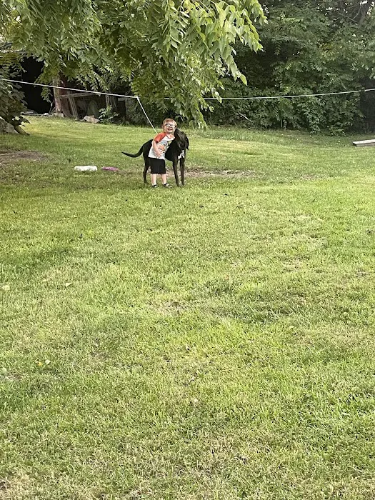 Saltville Animal Clinic Picture 2