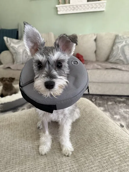 Welcome Waggin' Animal Hospital Picture 9