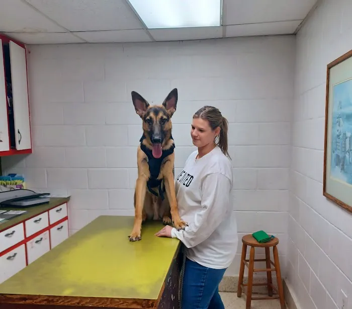 Northside Animal Hospital Picture 7