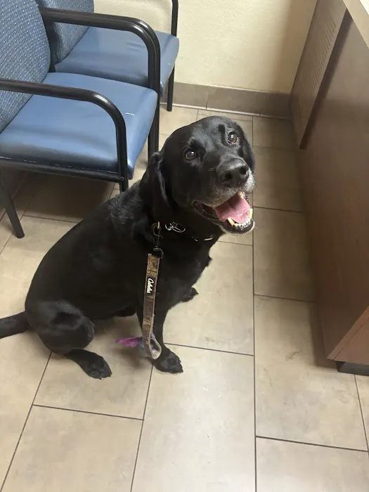 Five Oaks Animal Hospital Picture 6