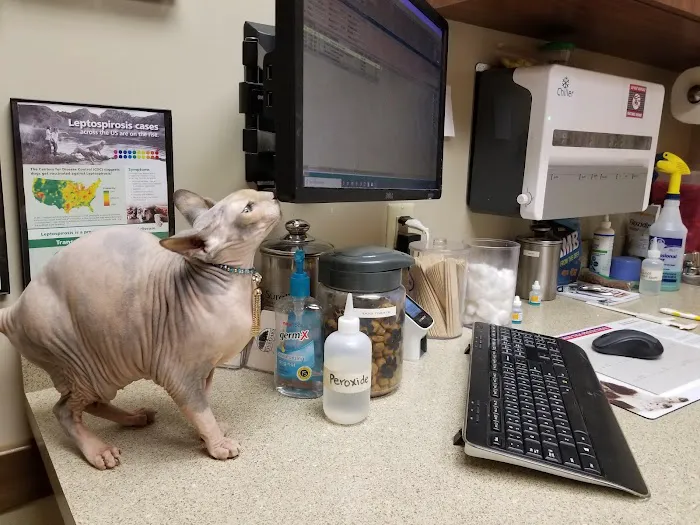 Five Oaks Animal Hospital Picture 8