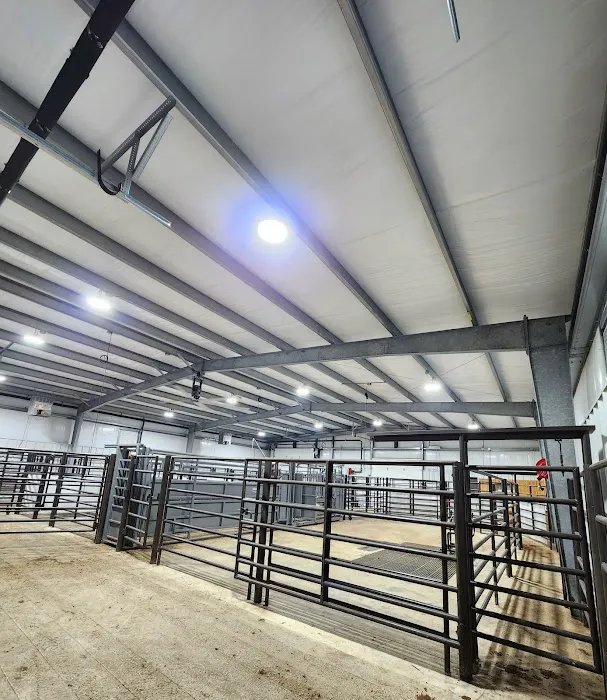 Livestock Veterinary Services Picture 9