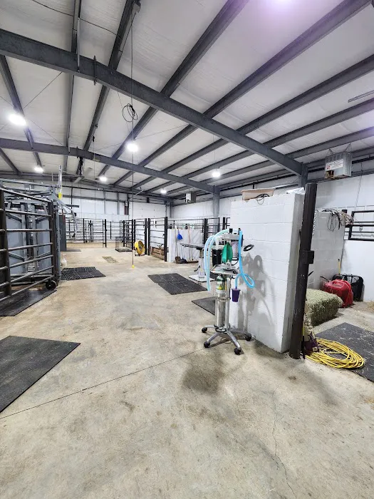 Livestock Veterinary Services Picture 6