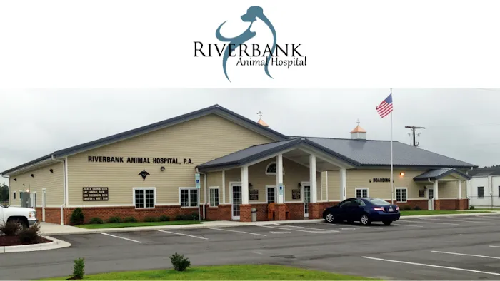 Riverbank Animal Hospital Picture 1