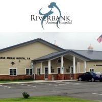 Riverbank Animal Hospital ico