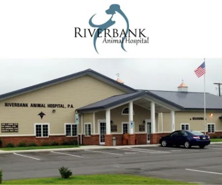 Riverbank Animal Hospital