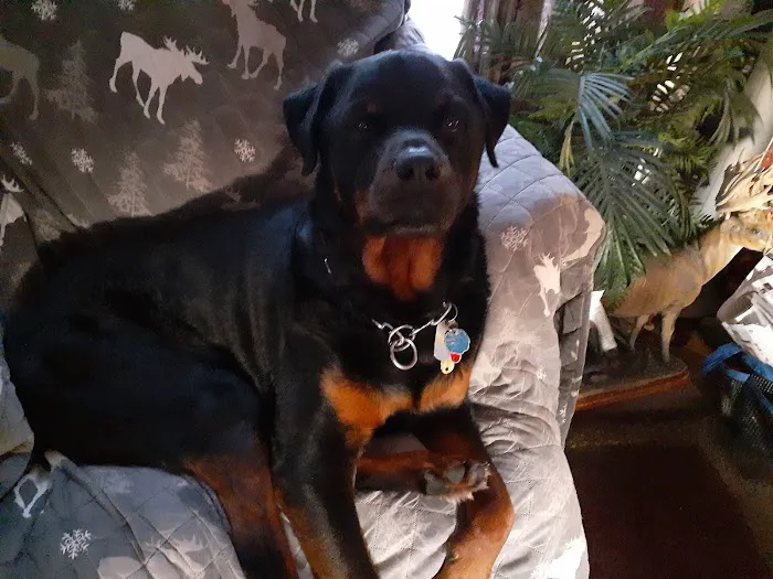 Riverbank Animal Hospital Picture 7