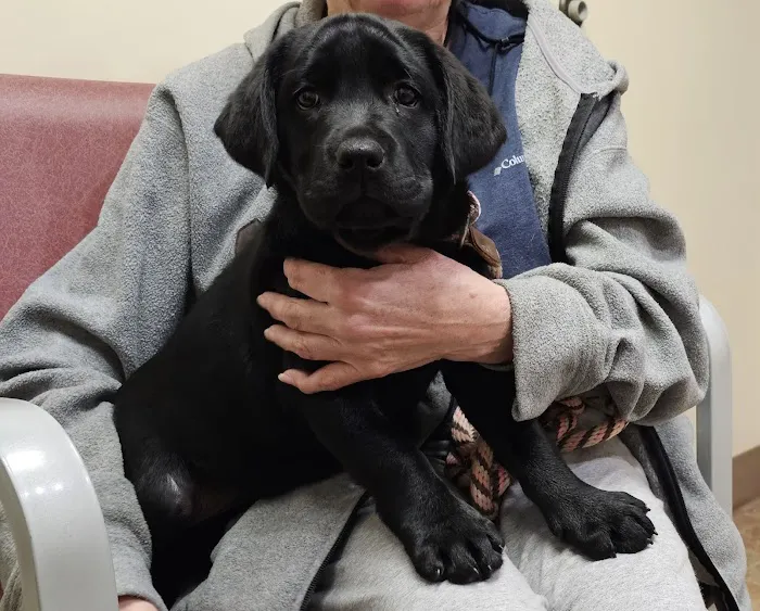 Riverbank Animal Hospital Picture 5