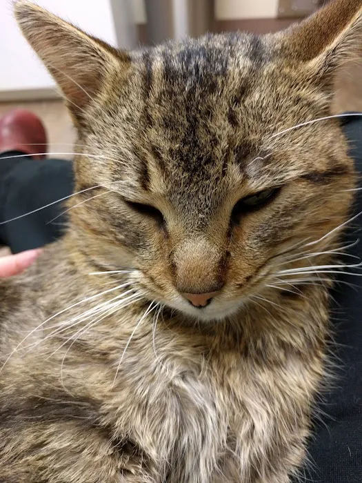 Riverbank Animal Hospital Picture 10