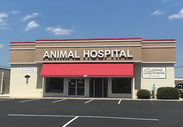 Animal Hospital of Pitt County Picture 3