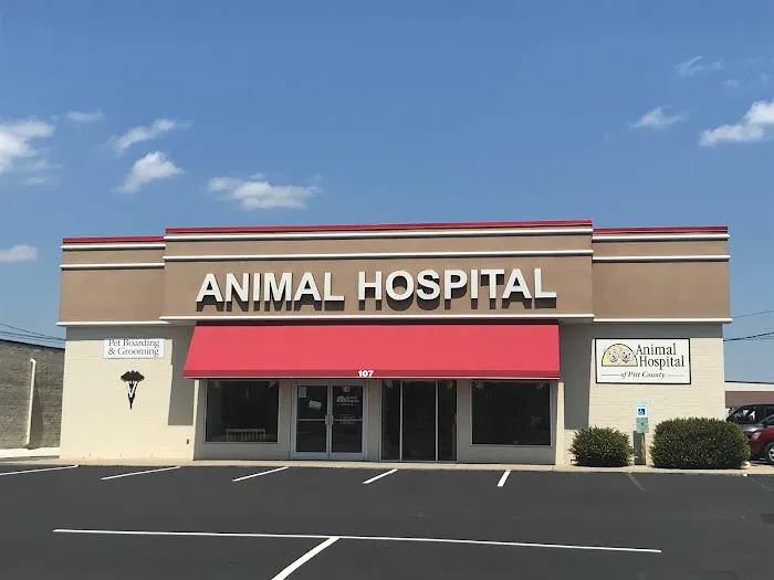 Animal Hospital of Pitt County Picture 2