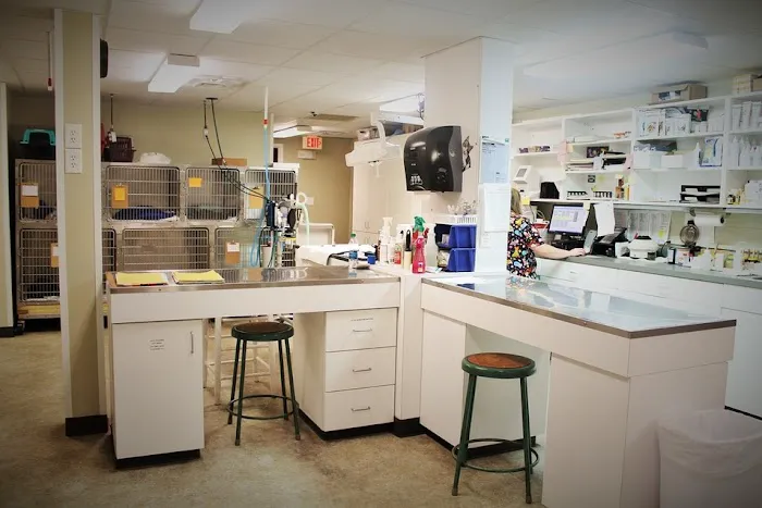 Animal Hospital of Pitt County Picture 9