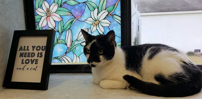 Trinity Veterinary Hospital Picture 3