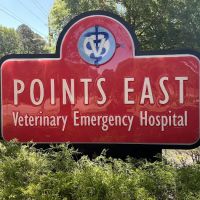 Points East Veterinary Emergency Hospital of Greenville ico
